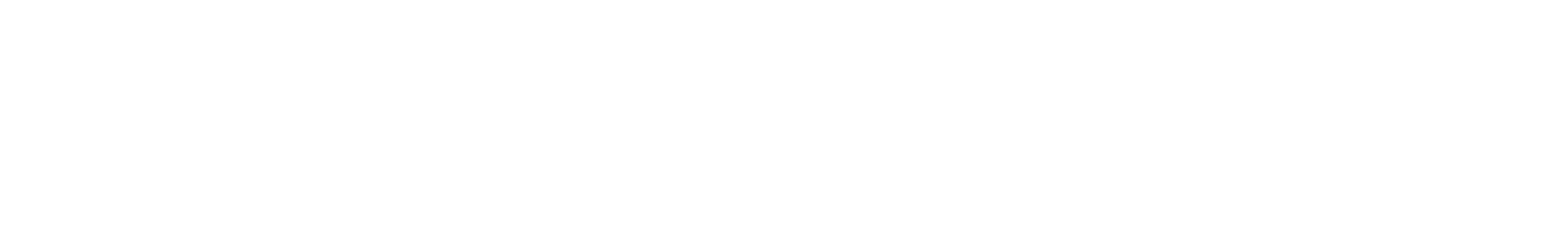 SafetySense Logo